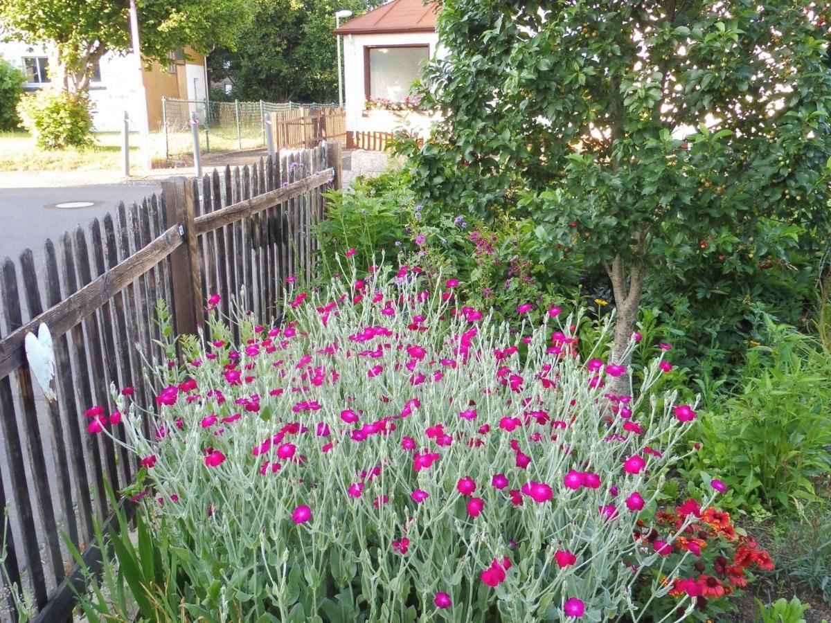 Apartment With Terrace And Pool In The Garden Pracht 外观 照片